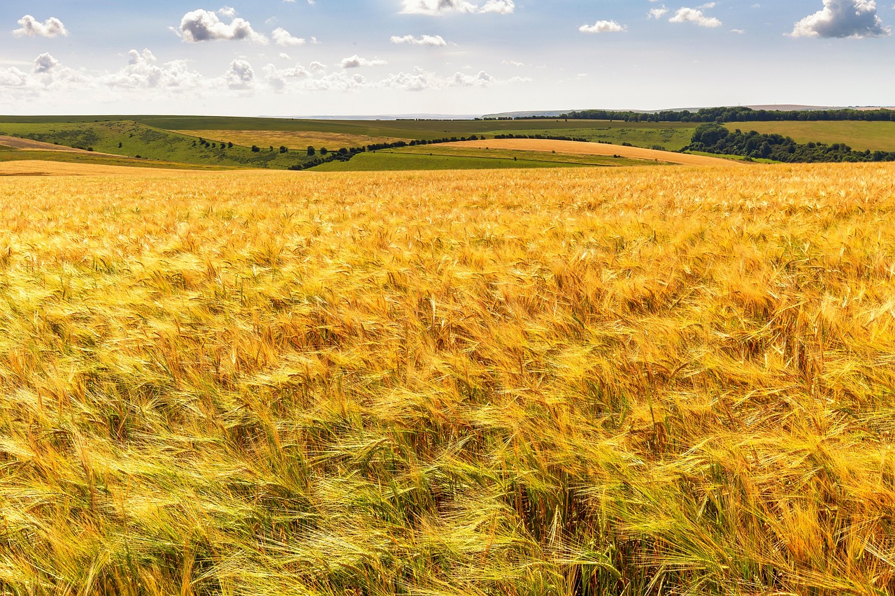 Pharmaceutical Laboratory
